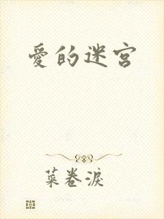 爱的迷宫