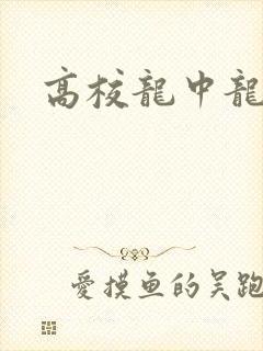 高校龙中龙