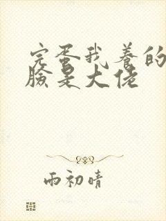 完蛋我养的小白脸是大佬