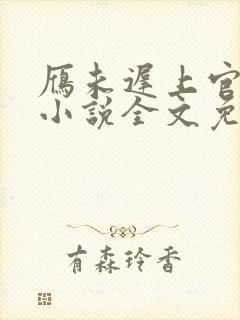 雁未迟上官穿越小说全文免费阅读