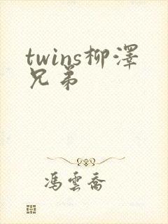 twins柳泽兄弟