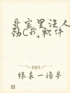 哥家里没人使点劲C我软件