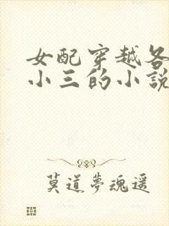 女配穿越各个做小三的小说