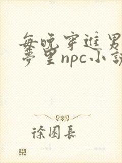 每晚穿进男神的梦里npc小说