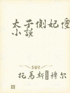 太子侧妃傻乎乎小说