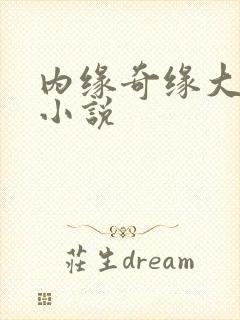内缘奇缘大团圆小说