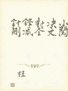 针锋对决小说未删减全文阅读