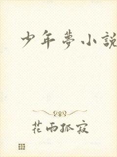 少年梦小说