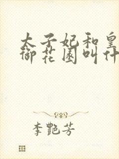 太子妃和皇帝在御花园叫什么小说