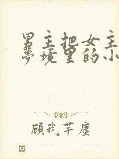 男主把女主拖进梦境里的小说