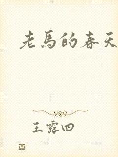 老马的春天敏静
