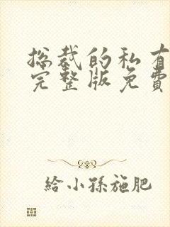 总裁的私有宝贝完整版免费阅读