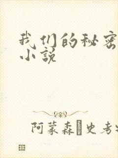 我们的秘密泰剧小说