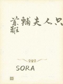 首辅夫人只想和离