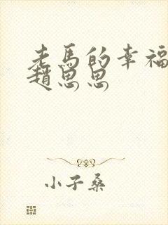 老马的幸福生活赵思思