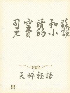 司空靖和苏月汐免费的小说笔趣阁