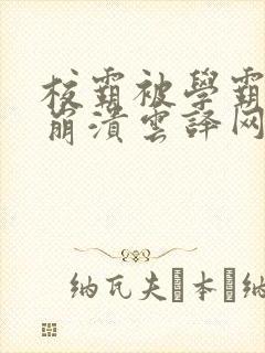 校霸被学霸玩到崩溃云译网