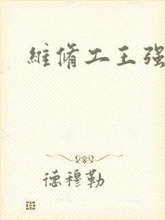 维修工王强张婷