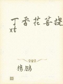 丁香花菩提树txt