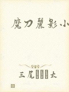 魔刀丽影小说