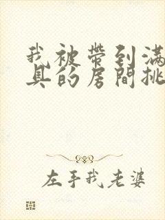 我被带到满是玩具的房间挑调作文