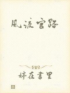 风流官路