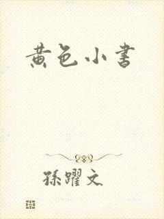 黄色小书