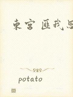 东宫 匪我思存