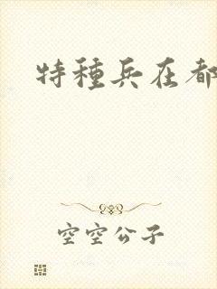 特种兵在都市