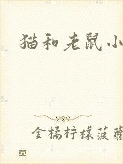 猫和老鼠小说