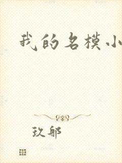 我的名模小娇妻