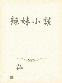 辣妹小说