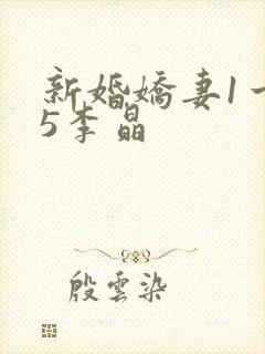 新婚娇妻1一25李晶