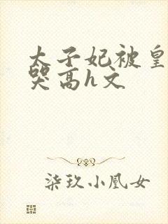 太子妃被皇上c哭高h文