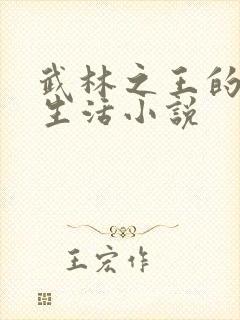 武林之王的退隐生活小说