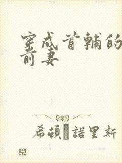 穿成首辅的炮灰前妻