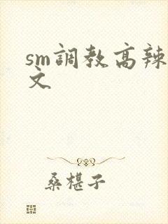 sm调教高辣h文