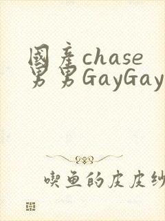 国产chase男男GayGay
