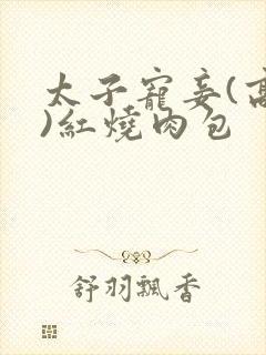 太子宠妾(高肉)红烧肉包