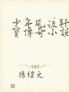 少年风流轩辕大宝传奇小说