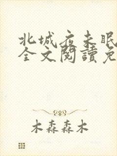 北城夜未眠小说全文阅读免费
