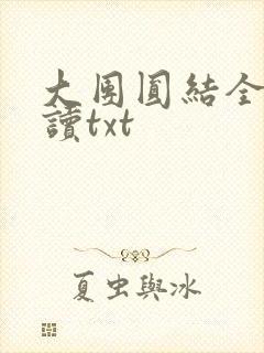 大团圆结全文阅读txt