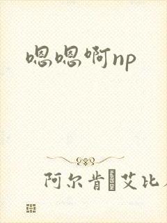 嗯嗯啊np