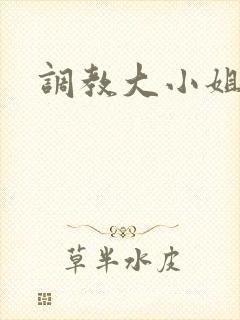 调教大小姐