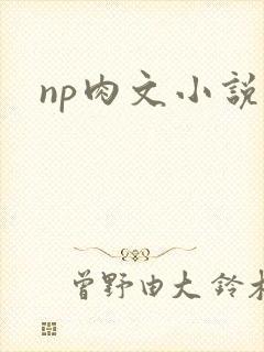 np肉文小说