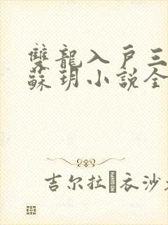 双龙入户三人行苏玥小说全文阅读