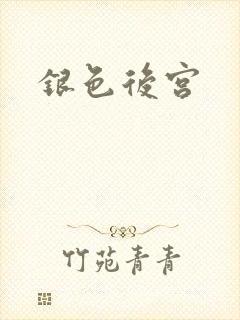 银色后宫