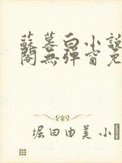 苏慕白小说笔趣阁无弹窗免费阅读