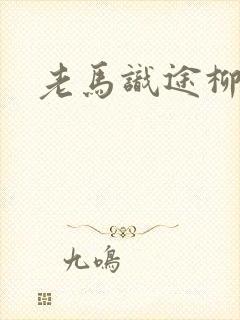 老马识途柳娇娇