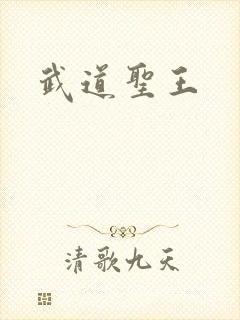 武道圣王